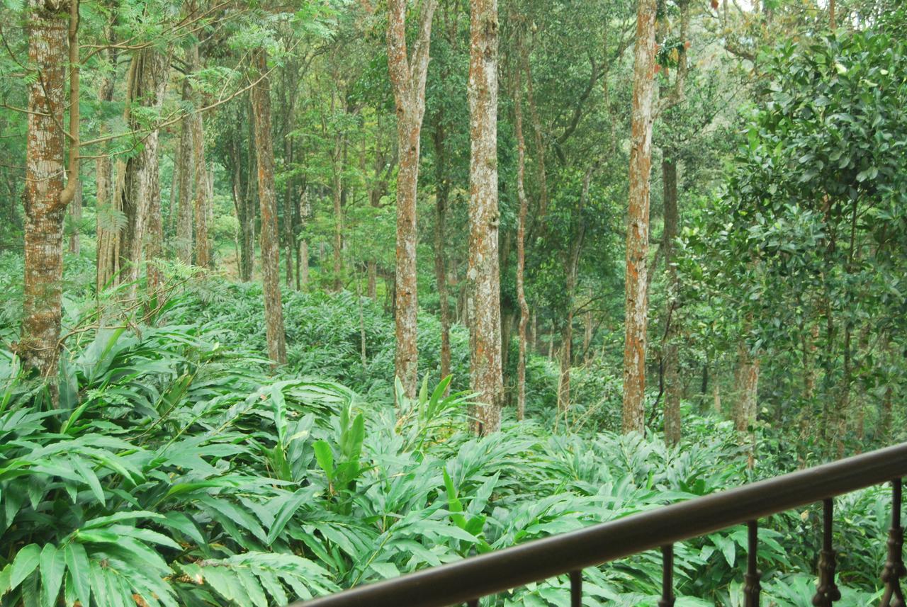 T Cherry Villa Munnar Buitenkant foto
