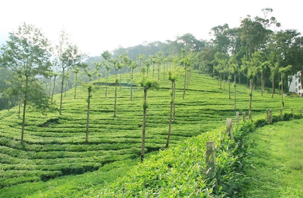 T Cherry Villa Munnar Buitenkant foto