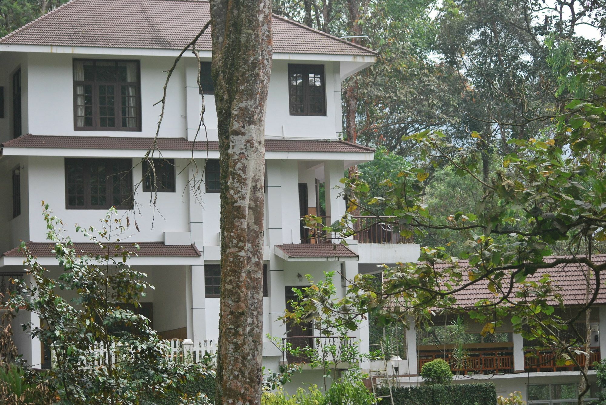 T Cherry Villa Munnar Buitenkant foto