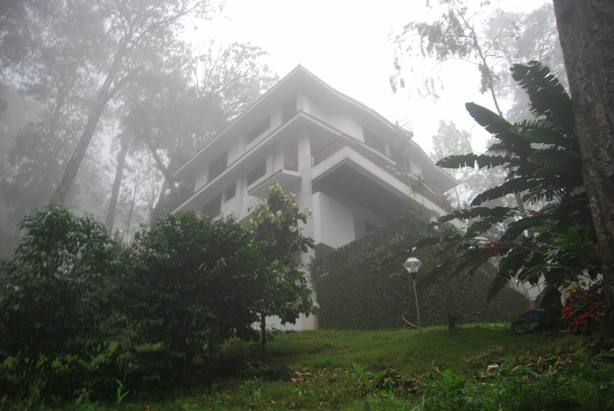 T Cherry Villa Munnar Buitenkant foto